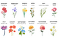 Personalized Flower Name Necklace