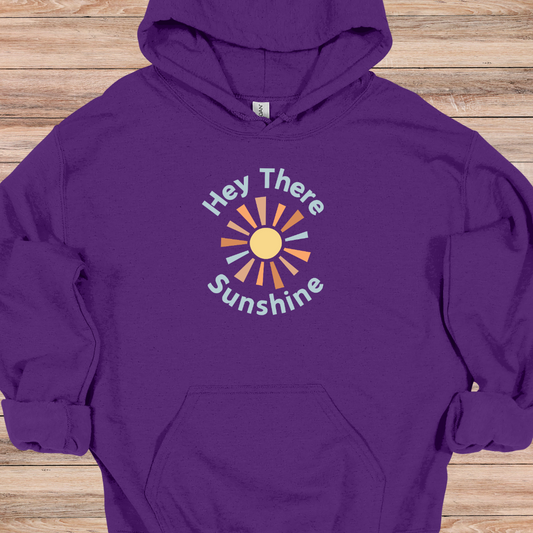 Hey There Sunshine Hoodie